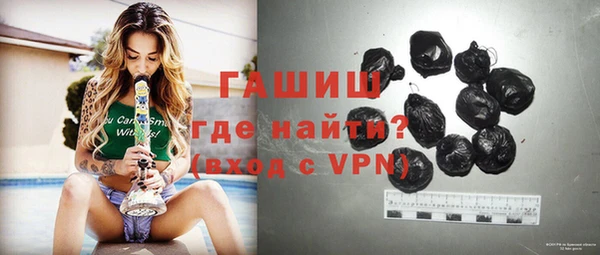 твердый Бородино