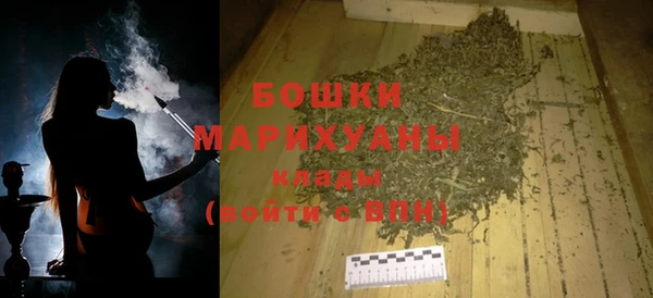 сатива Бронницы