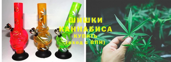 сатива Бронницы