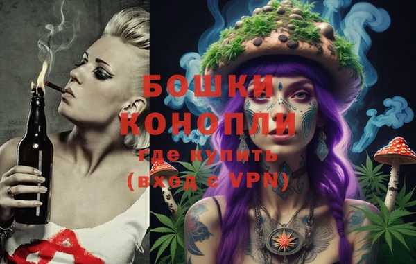 твердый Бородино