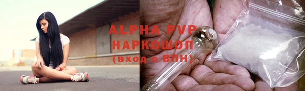 твердый Бородино