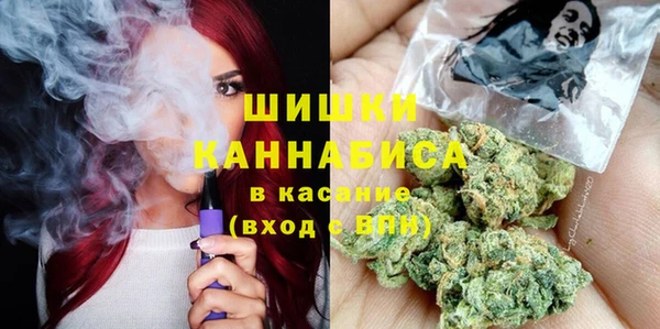 сатива Бронницы