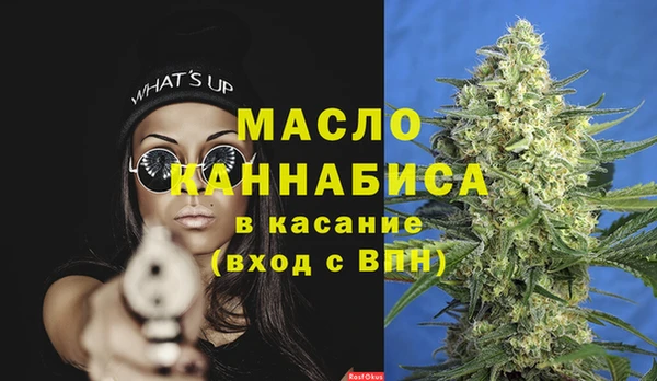 твердый Бородино