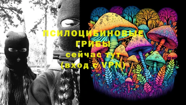 твердый Бородино
