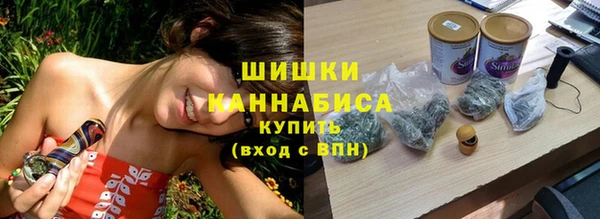 сатива Бронницы