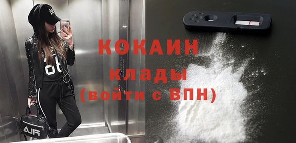 твердый Бородино